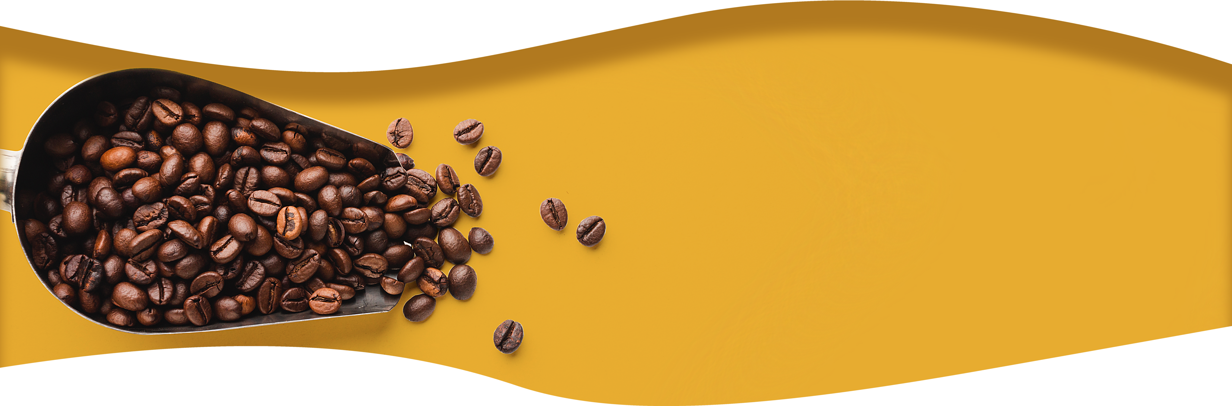 Ultimate Component Background Image